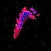 Nebulae.jpg (11468 bytes)